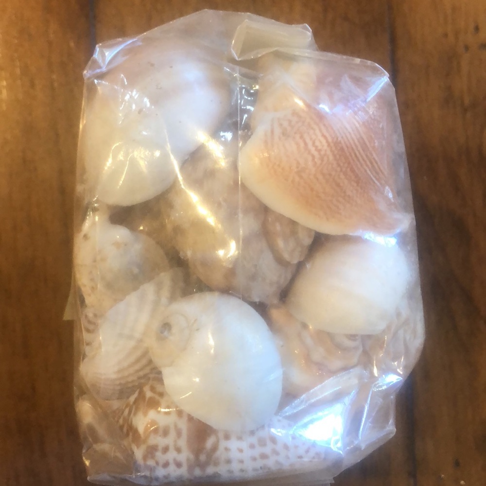 Shells- Decorative Pack - Picture 3 of 6